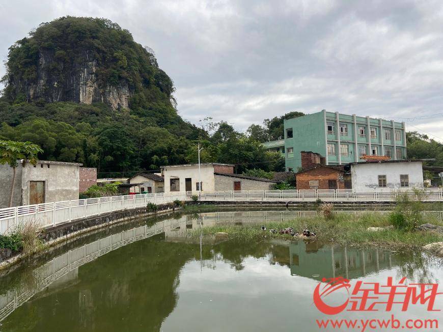 清远"网红村"脱贫奔小康,引入产业发展粤来粤好_水西村