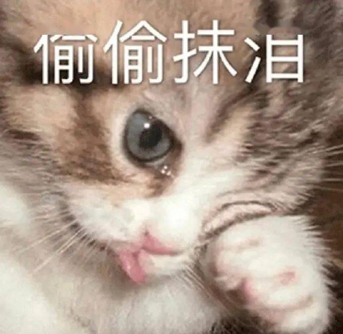 仙人掌|灵芝护肤？仙人掌敷脸？大牌们真是越来越敢了！