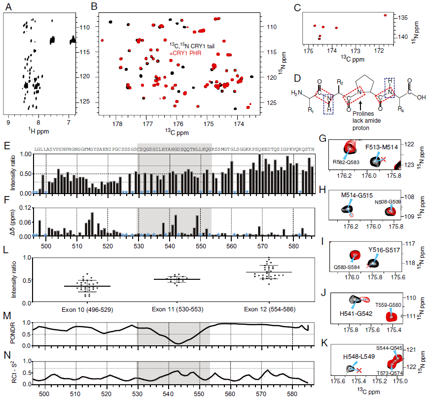 障碍|PNAS：“夜猫子”睡眠障碍竟然会是基因突变导致的！