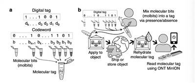 豪猪|生物技术新突破：“豪猪”分子标记系统可追踪微小物体