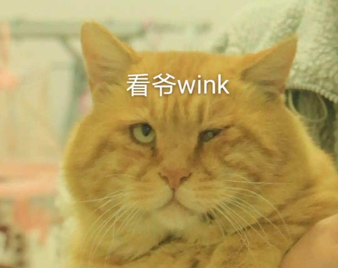 37ea474e997044e3b8e3ac3ddda45da3.jpeg