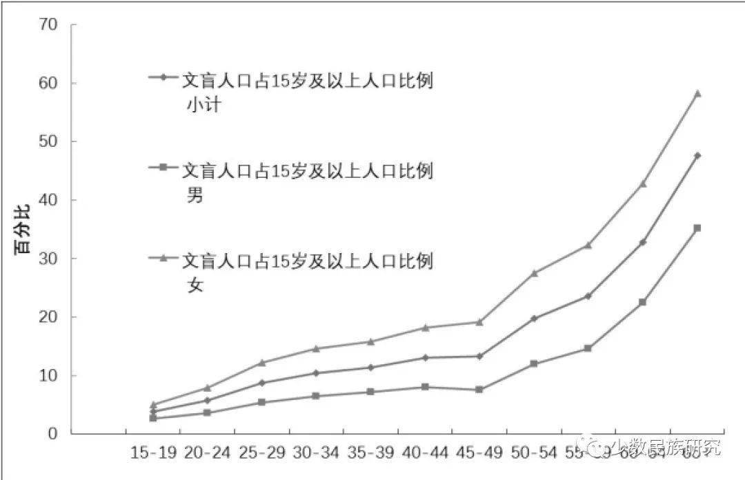 汉族人口比例_为什么四川的汉族人口是中国汉族人口最多的一个省(3)