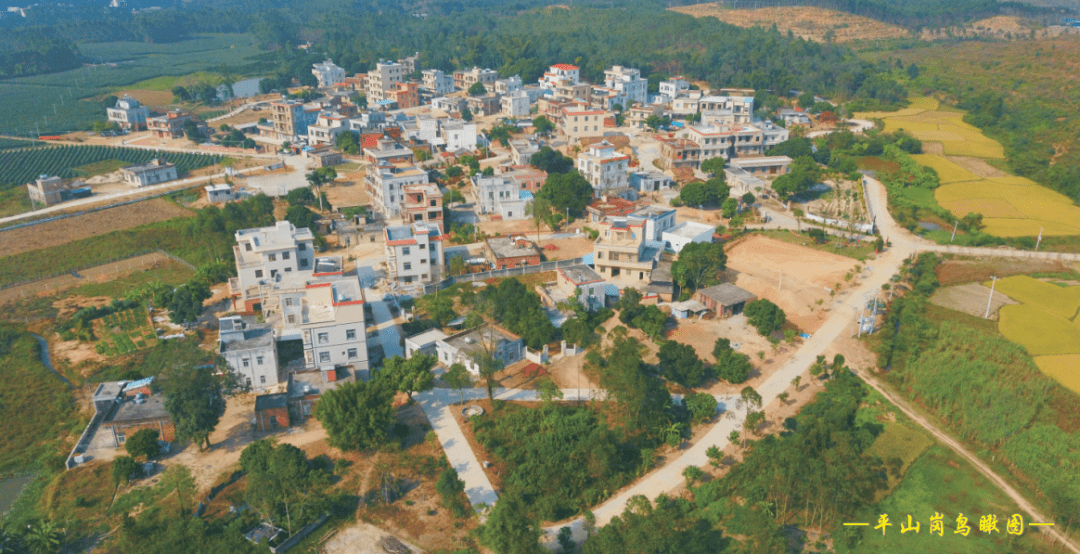 杨凌张家岗村人口_杨凌渭河湿地公园