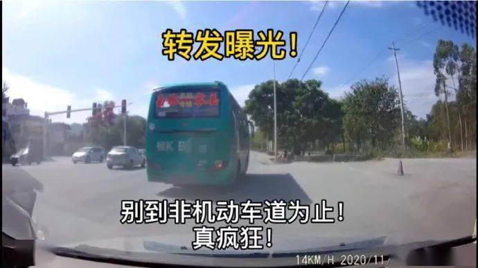 广西2020年前三季度g_2020年广西玉林狗肉节(3)