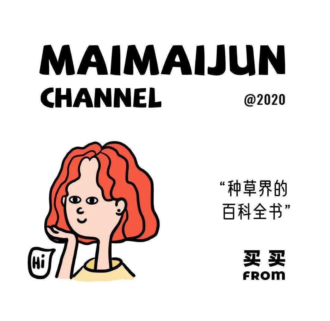 头发|Jennie精致到头发丝的秘密，终于被我扒出来了！