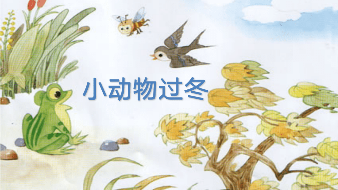 活动:立冬讲究秋收冬藏,北方人吃饺子,南方人吃肉等,和孩子一起在ppt