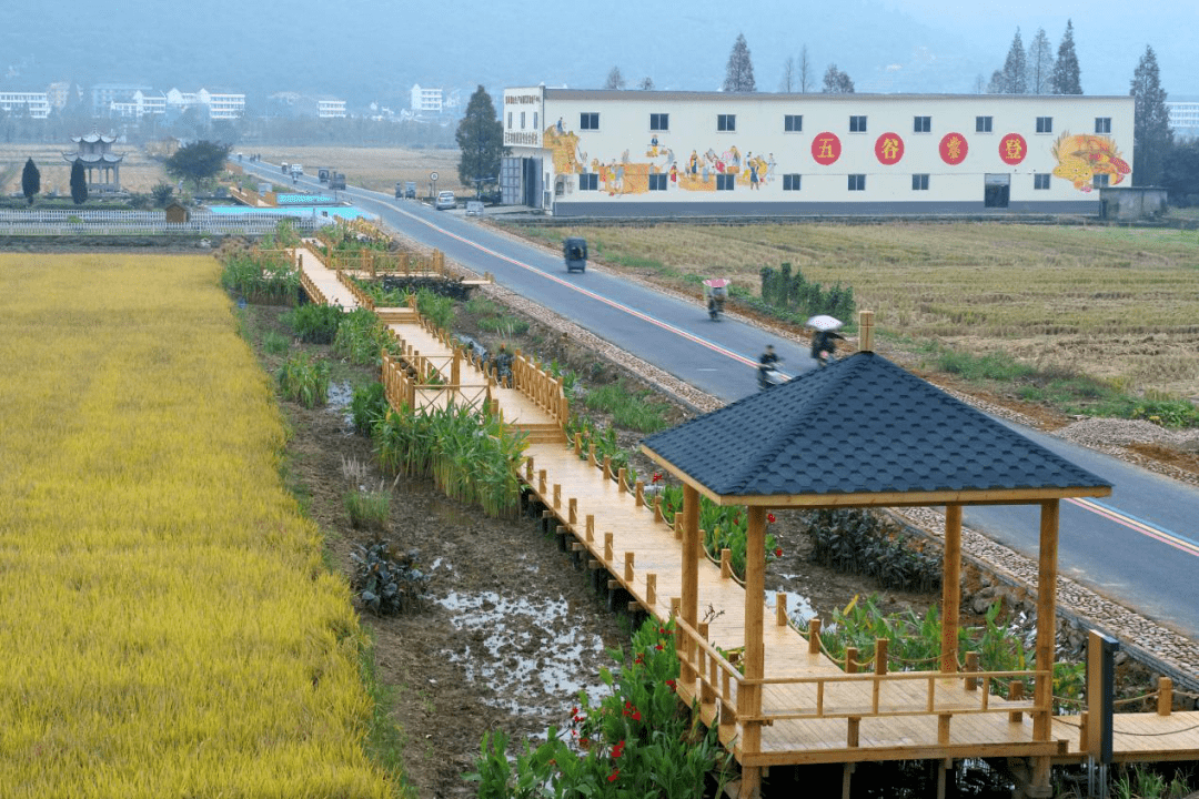 瑞安曹村镇