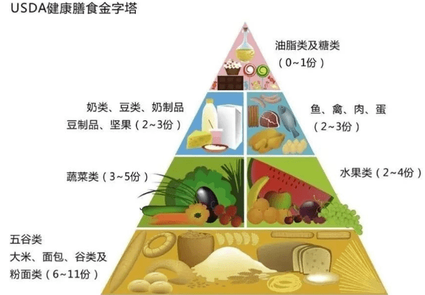 你的饮食方式健康吗一个金字塔解答你所有的疑惑