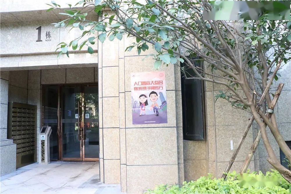 人口普查登记房屋_普查人口登记表格图片(2)