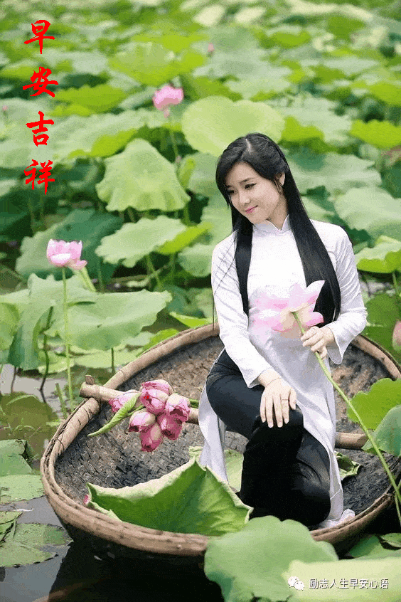 564_846 竖版 竖屏