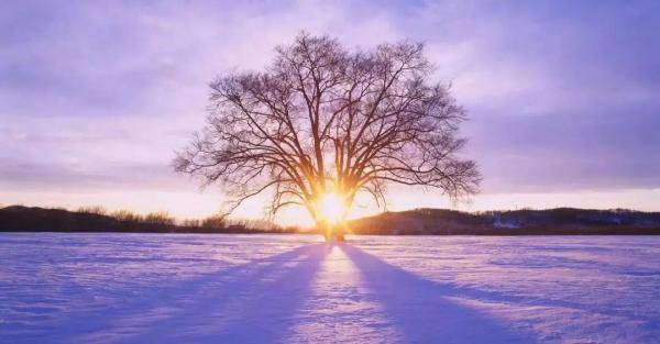 手炉|【读书】 古人是怎么过（抗）冬（寒）的？