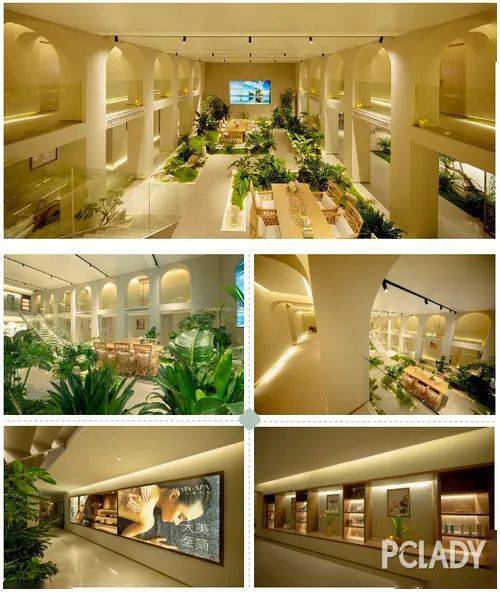 Venus|别只照顾脸，小心身体肌肤让你看起来老十岁！