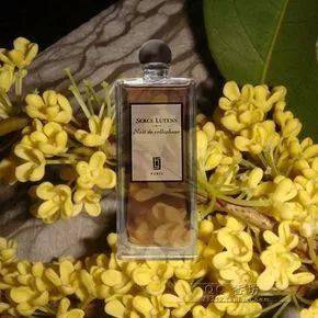 桂花|国产“唇纹熨斗”，一抹摆平唇干、起皮，润得想接吻