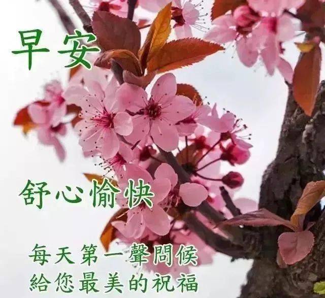 2020最新微信图片带字,2020最新微信图片 2020微信清晨祝福早安动态图带字,微信阳光的早安问候