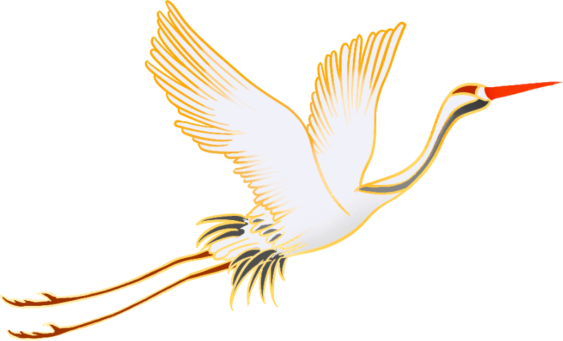 2020澳洲篮球联赛最_中国体育·2020广东省三人篮球联赛城市预选赛顺利结(2)