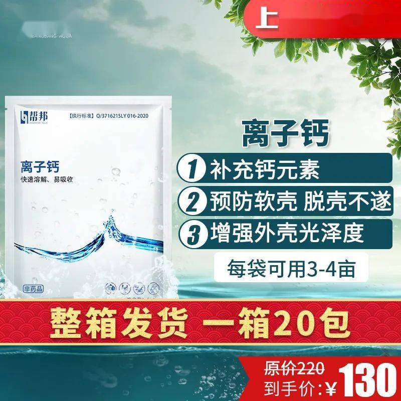 68d9615b19194a68af86a29ffc63e206.jpeg