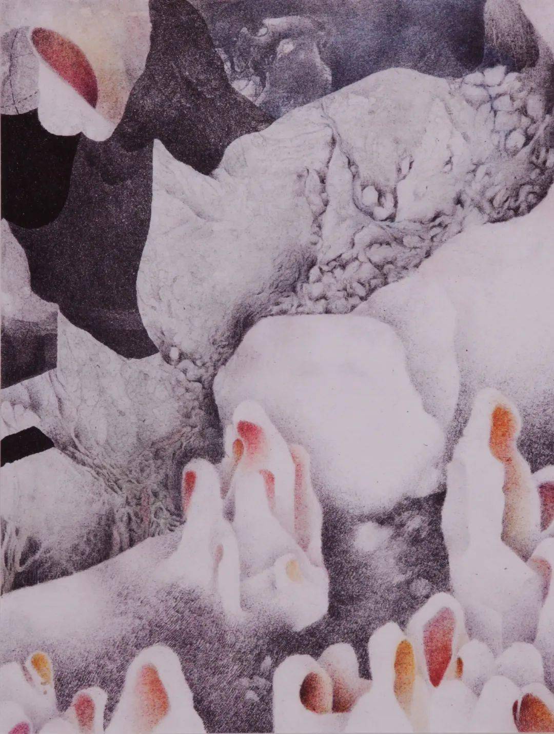 卡利人口_希卡利奥特曼图片