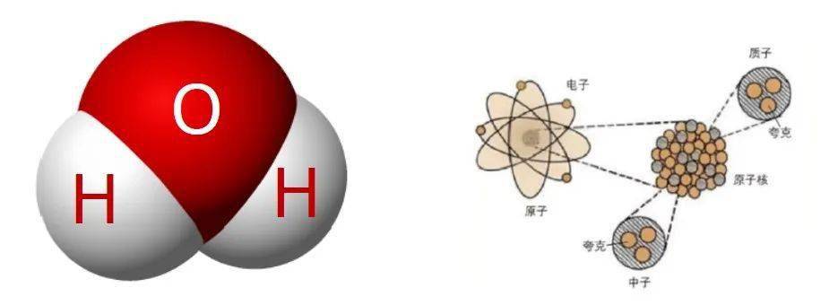 图源:网络 左边是一个水分子的(结构图)样子,大的红色的是氧原子