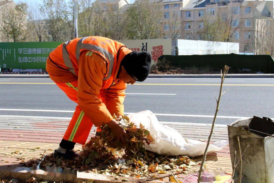深秋时分落叶黄 环卫工人清扫忙