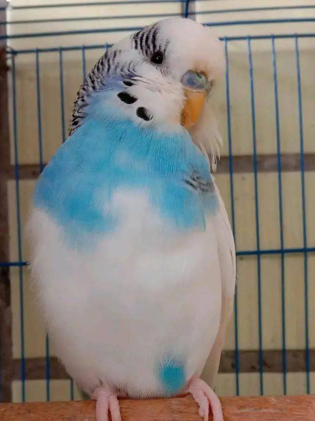 c6fe62768cbb45e8904abaf982385f12.jpeg