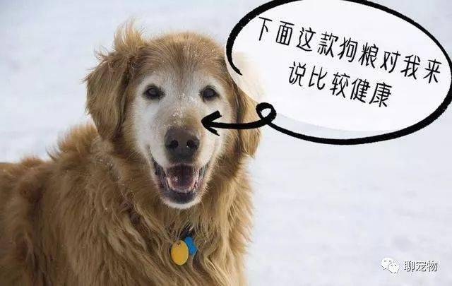 e0115a0d5c5348e6a354cf9180c86b8d.jpeg