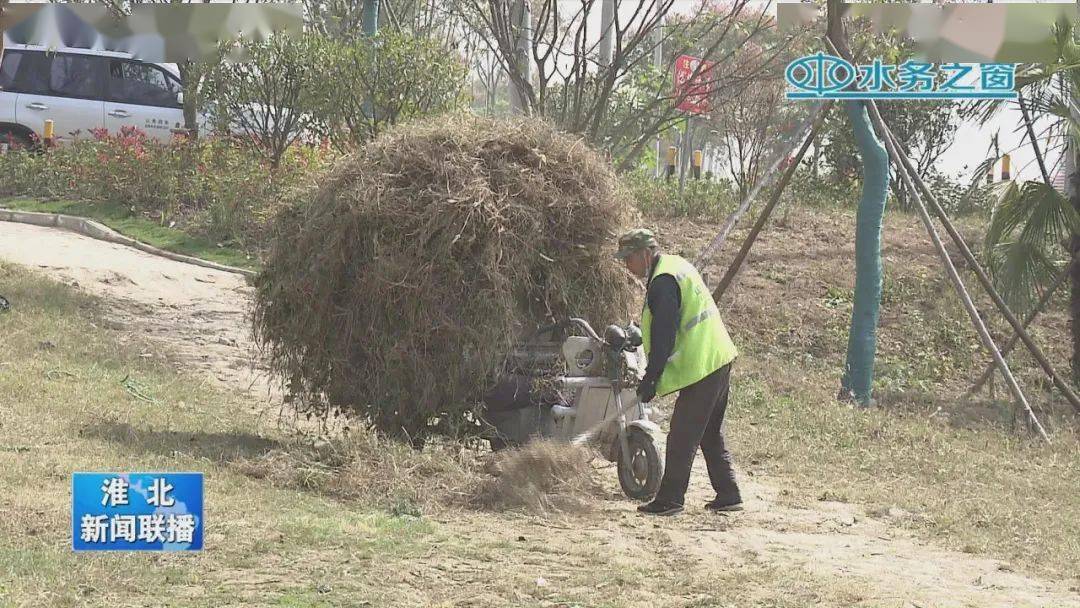 濉溪县有多少人口