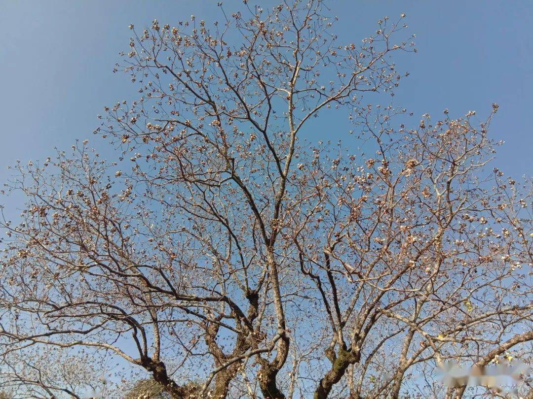歙县各乡人口_歙县绍濂乡名人
