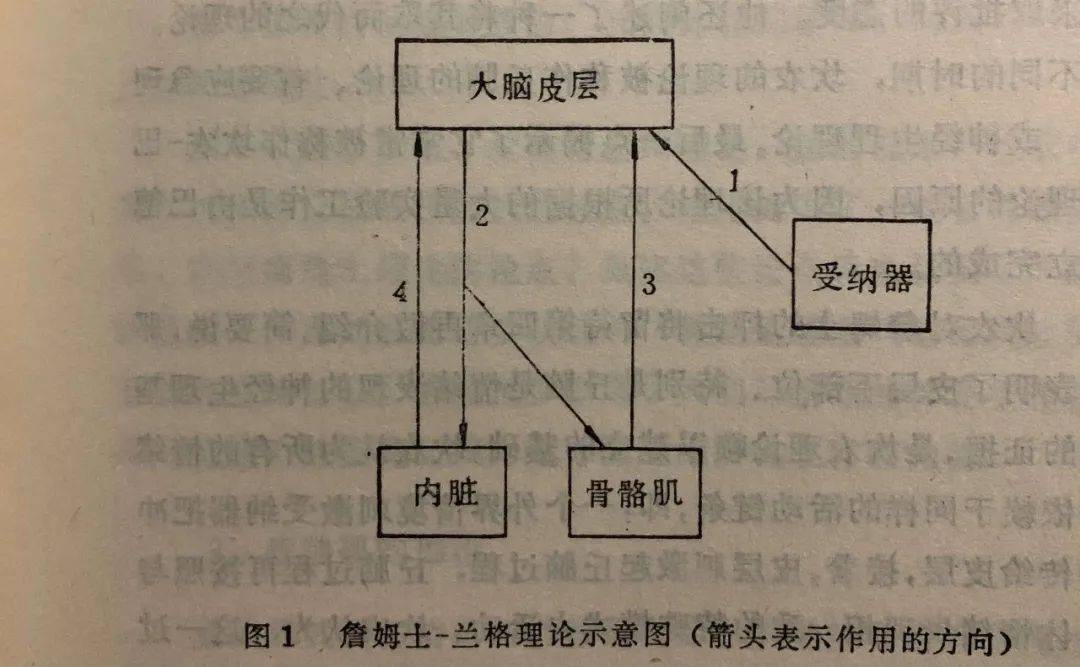 什么是心理学原理_什么是心理学(3)