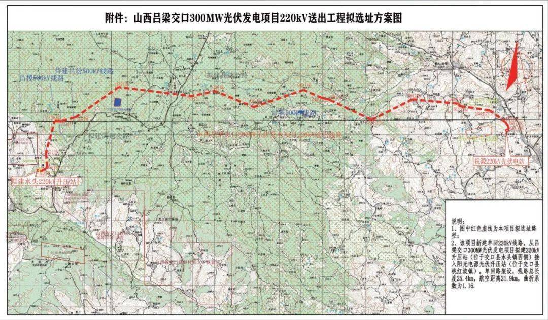 桃坡镇人口_人口普查图片(2)