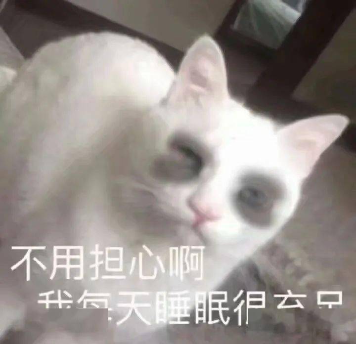 2d53079bdd7a4fde98e8e1e77e9077d2.jpeg