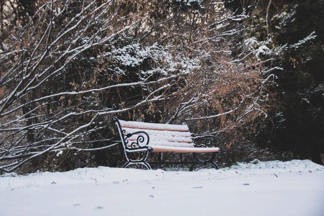 光影|初雪记｜光影斜斜，落雪迟迟