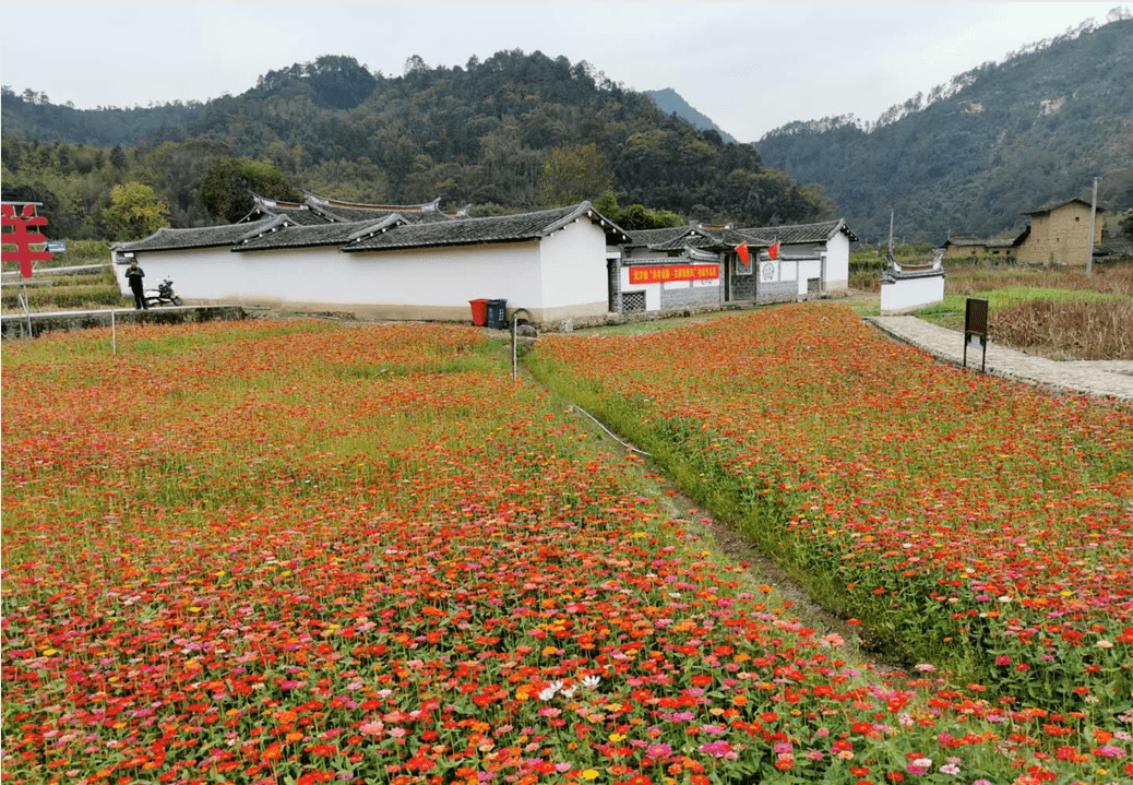 漳平市各各村人口_漳平市杨美村图片