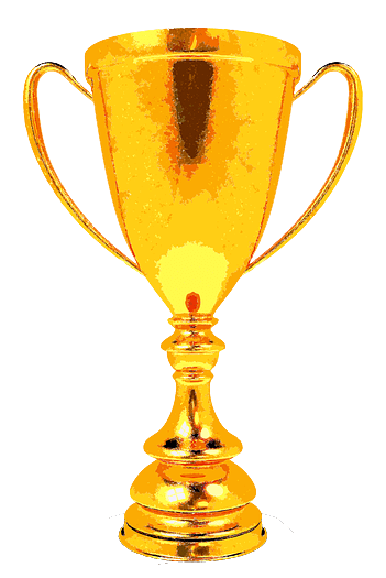 2020年济南甸柳一中_喜报——热烈庆贺济南甸柳一中足球队再夺冠军!