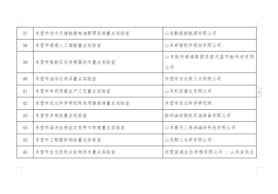 2020年东营市海事局_“两会”期间东营海事局对客滚船实施突击检查