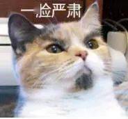 崩溃|换谁都崩溃吧？