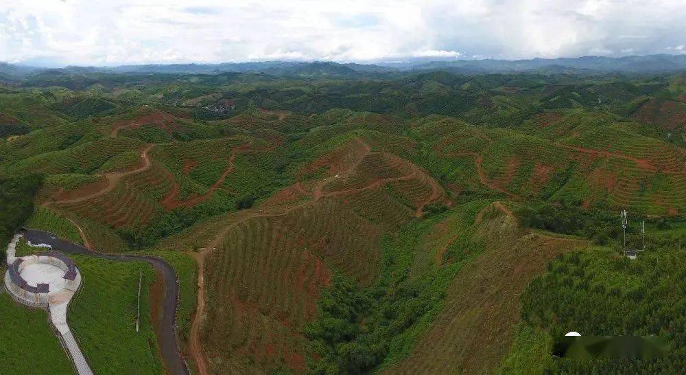 田阳gdp_田阳高中图片(2)