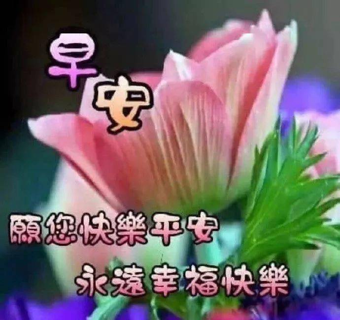 11月10日超暖心的早上好问候语动态图片,清晨句句暖人心的问候短信