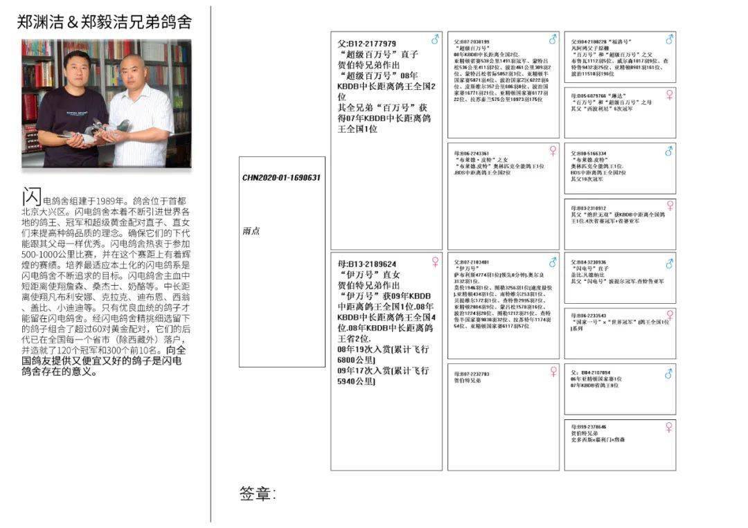 【双11上午10点】闪电鸽舍郑毅洁7万羽国家赛冠军直子