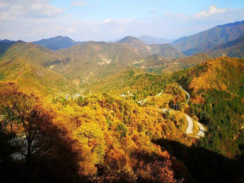 自驾赏秋看红叶,青川这条路人少景美.