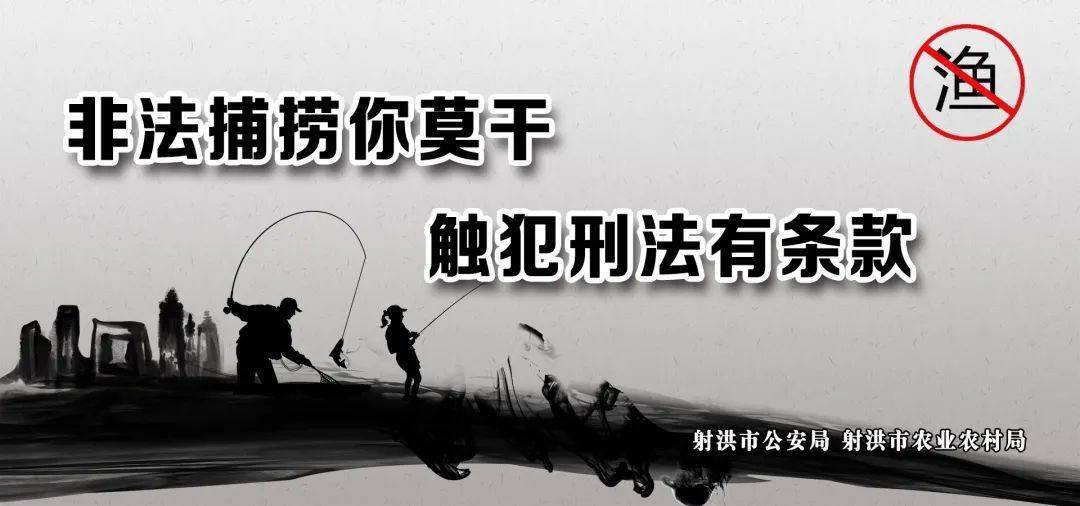 射洪市金华镇高桥村人口_射洪金华镇高桥村罗琼