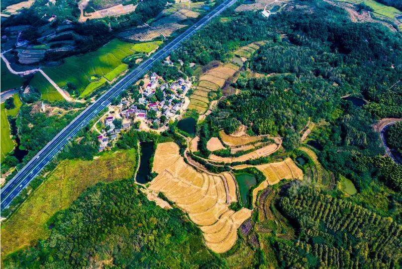 党建引领乡村振兴博望区百峰村有你向往的生活