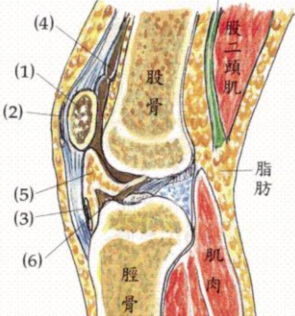 全腿疼怎么办