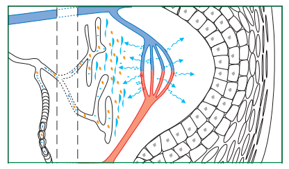 近照|曾经红极一时的“最美港姐”近照曝光，原来美人真的能被一个细节毁掉.......
