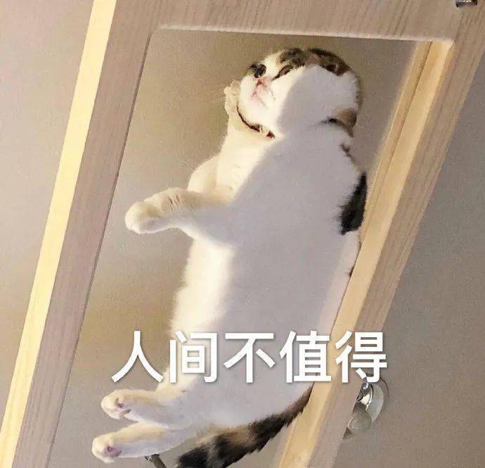 你开心就好吧_表情