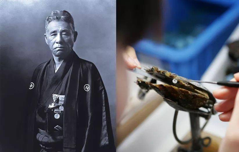 波斯|史上最“老”珍珠曝光!8000年了,还光泽如新?这都是因为...