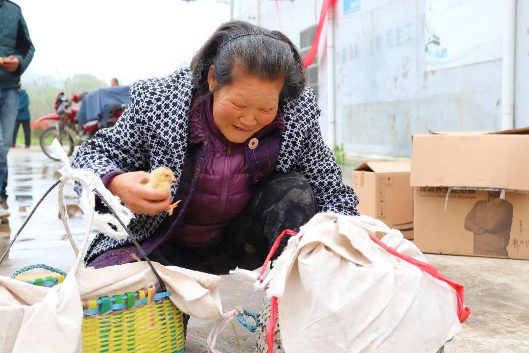 铜陵市枞阳县2020年GDP_新版铜陵市枞阳县地图(3)