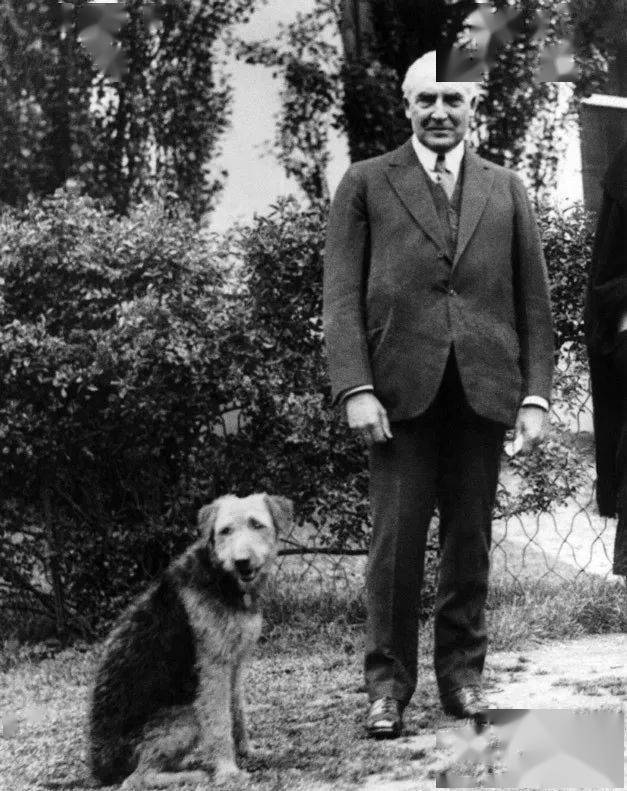 西奥多·罗斯福 : 总统的狗撕下大使的裤子