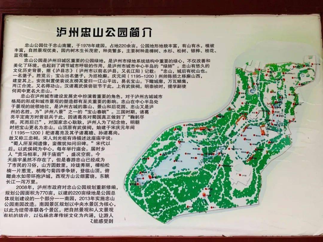 忠山公园位于忠山位于泸州忠山南麓,泸州市的上半城,面朝长江,毗邻