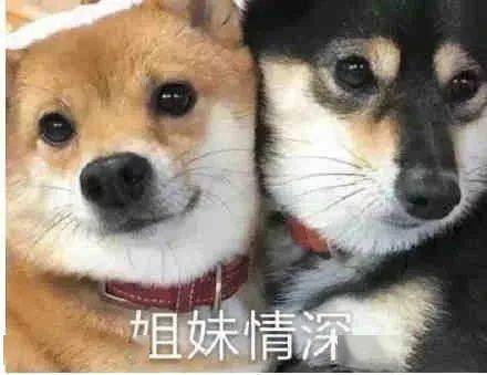 回头率|大促返场 | 回头率200%的牛仔裤！细直腿，小翘臀谁穿谁有！