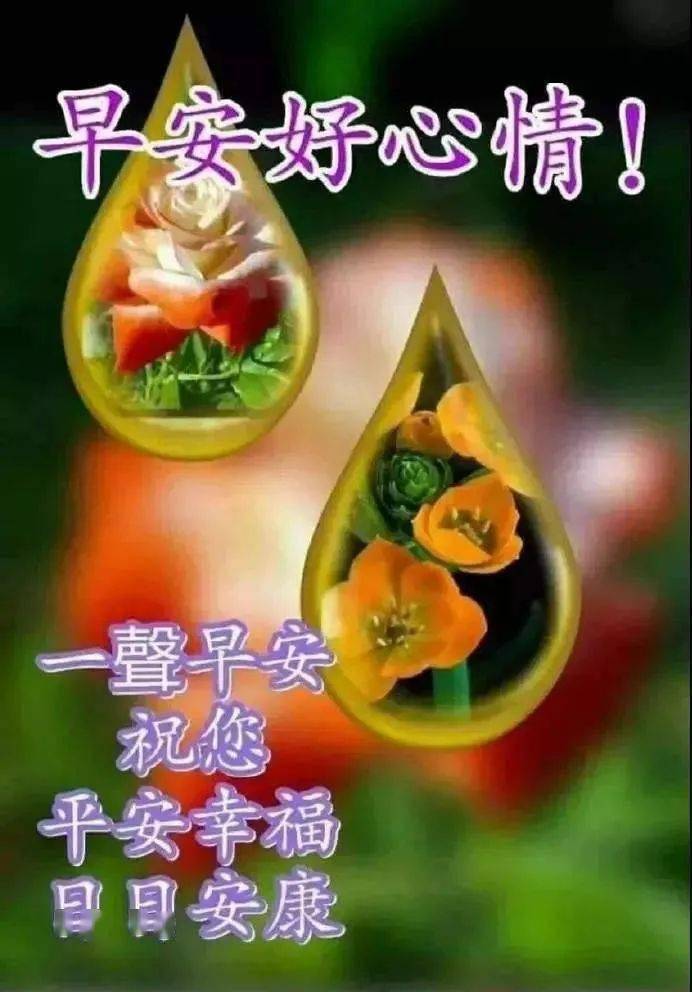 早安温馨祝福语短句子 祝福早安图片发朋友圈